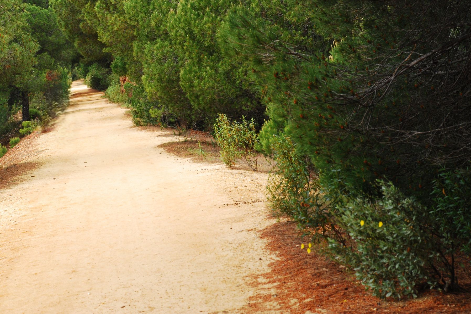 Comienzan las obras de la Vía Verde de Rio Tinto, Huelva